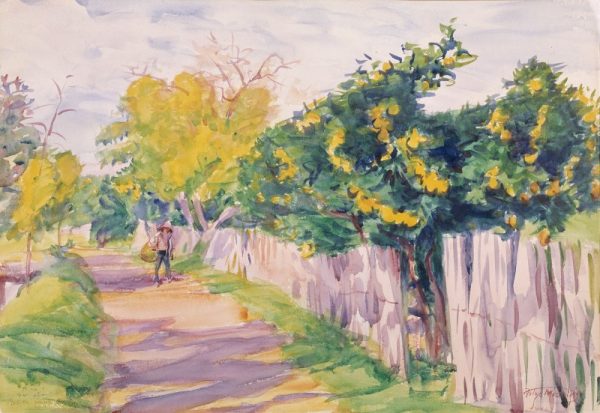 A Lane Through an Orange Grove, Orihuela, 1904, Macknight Room, Gardner Museum