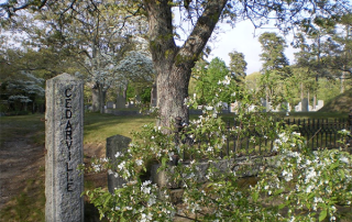 Cedarville Cemetery